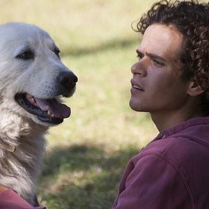 Bilder L'estate addosso