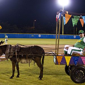 Bilder Danny McBride