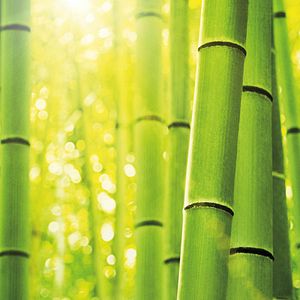 Bilder The LEGO Ninjago Movie