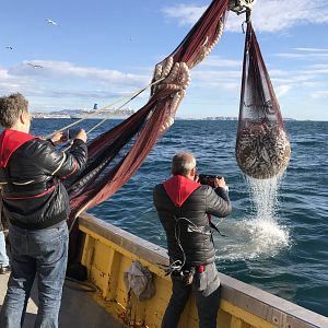Bilder Michel Gondry