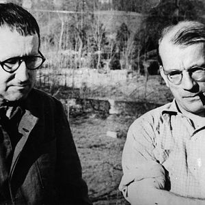 Bilder Die guten Feinde