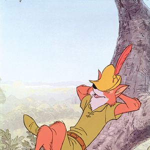 Bilder Robin Hood