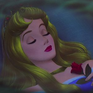 Bilder Dornröschen und der Prinz