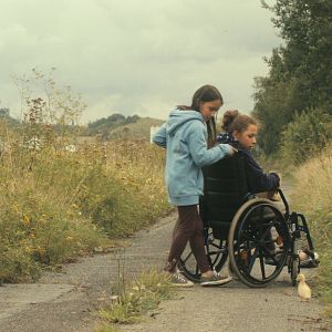 Bilder Zugvögel - Wenn Freundschaft Flügel verleiht