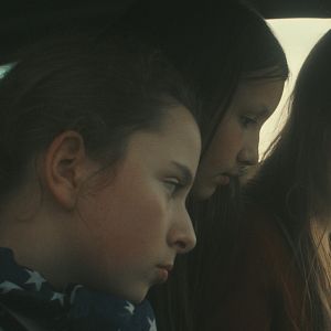 Bilder Zugvögel - Wenn Freundschaft Flügel verleiht