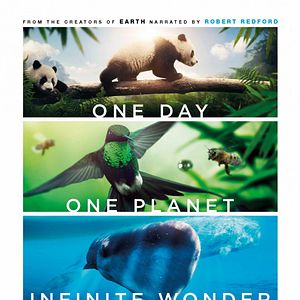 Bilder Unsere Erde 2