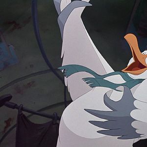 Bilder Bernard und Bianca im Känguruhland