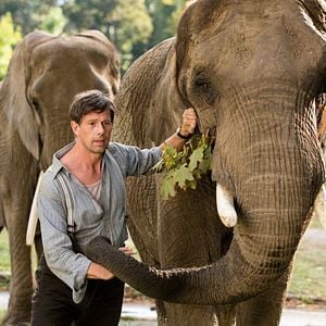 Bilder Johan Heldenbergh