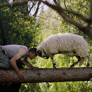 Bilder On The Milky Road