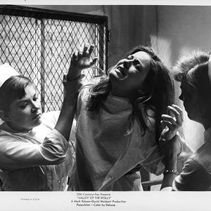 Bilder Das Tal der Puppen