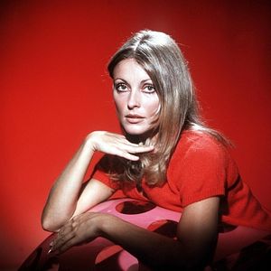 Bilder Das Tal der Puppen