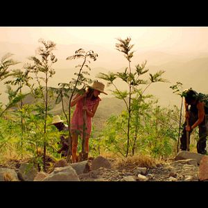 Bilder Im Herzen Wild