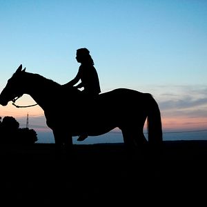 Bilder Rock My Heart