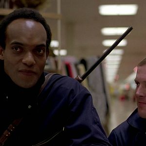 Bilder Scott H. Reiniger