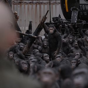 Bilder Planet der Affen 3: Survival