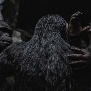 Bilder Planet der Affen 3: Survival