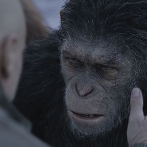 Bilder Planet der Affen 3: Survival