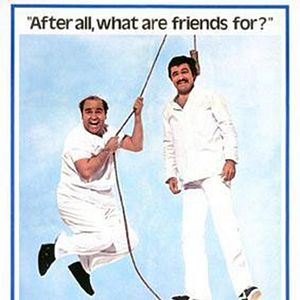 Bilder Nobody Is Perfect