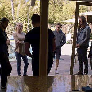 Bilder Animal Kingdom