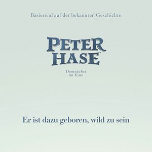 Bilder Peter Hase