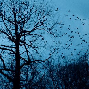 Bilder Eclipse - Kampf der Magier