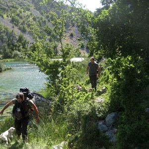 Bilder Stromaufwärts