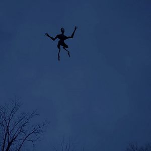 Bilder The Gracefield Incident