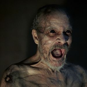 Bilder David Pendleton