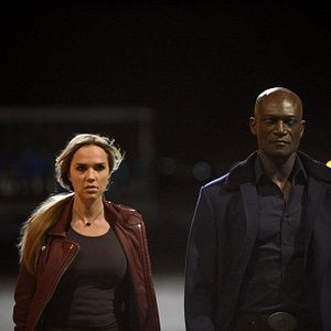 Bilder Arielle Kebbel