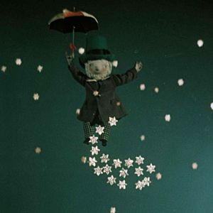 Bilder Quel cirque !