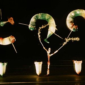 Bilder Quel cirque !