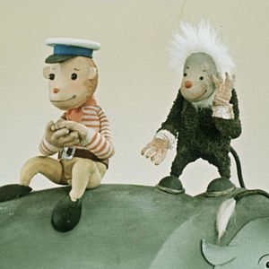 Bilder Quel cirque !