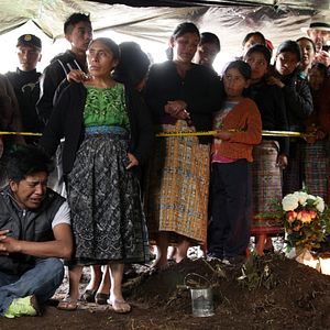 Bilder Finding Oscar