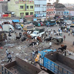 Bilder Daughters of Destiny