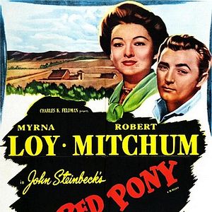 Bilder Gabilan, mein bester Freund