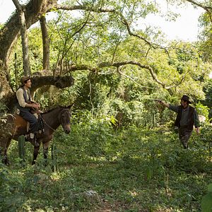 Bilder Malasartes e o Duelo com a Morte