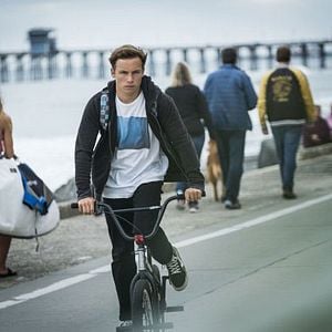 Bilder Animal Kingdom