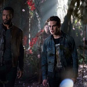 Bilder Shadowhunters