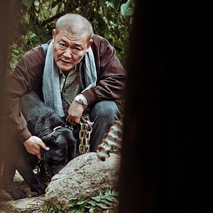 Bilder The Wailing – Die Besessenen