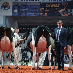 Bilder Das System Milch