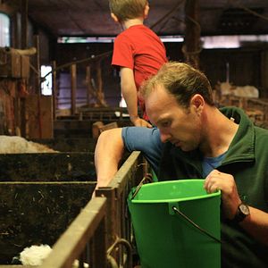 Bilder Das System Milch