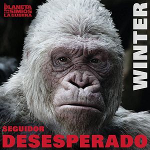 Bilder Planet der Affen 3: Survival