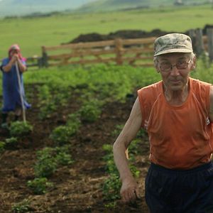 Bilder Liebe auf Sibirisch - Ohne Ehemann bist du keine Frau!