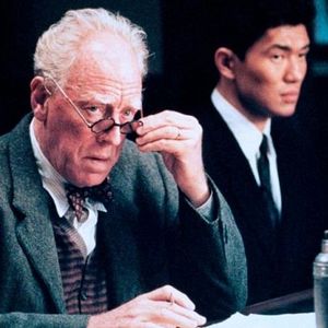 Bilder Schnee, der auf Zedern fällt