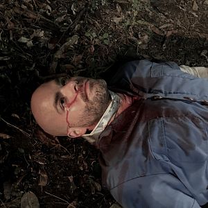 Bilder Slate Holmgren