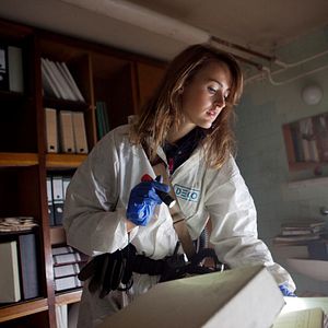 Bilder Villmark Asylum - Schreie aus dem Jenseits