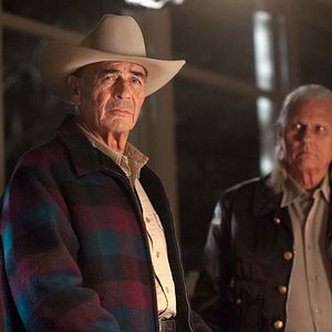 Bilder Michael Horse