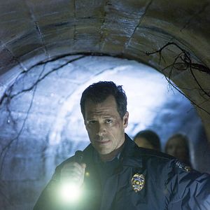 Bilder Darren Pettie