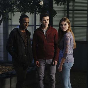 Bilder Holland Roden