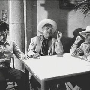 Bilder La Oveja Negra